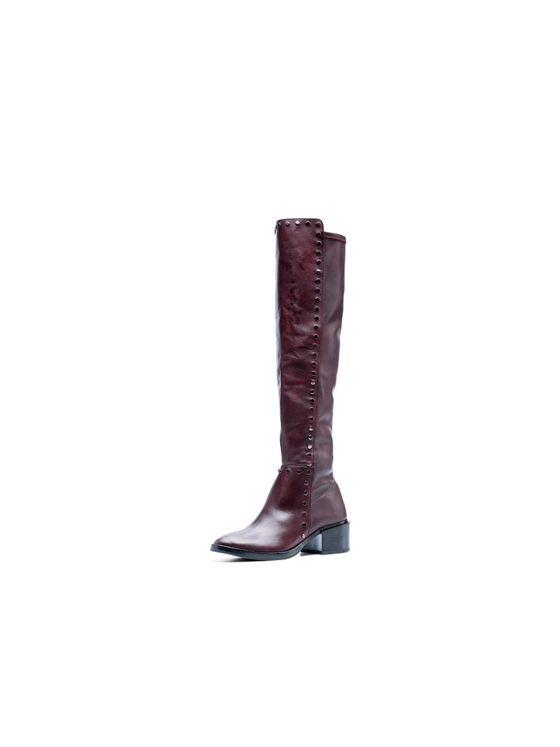 Ali MacGraw Sleek Boot 3 Ali MacGraw Sleek Boot