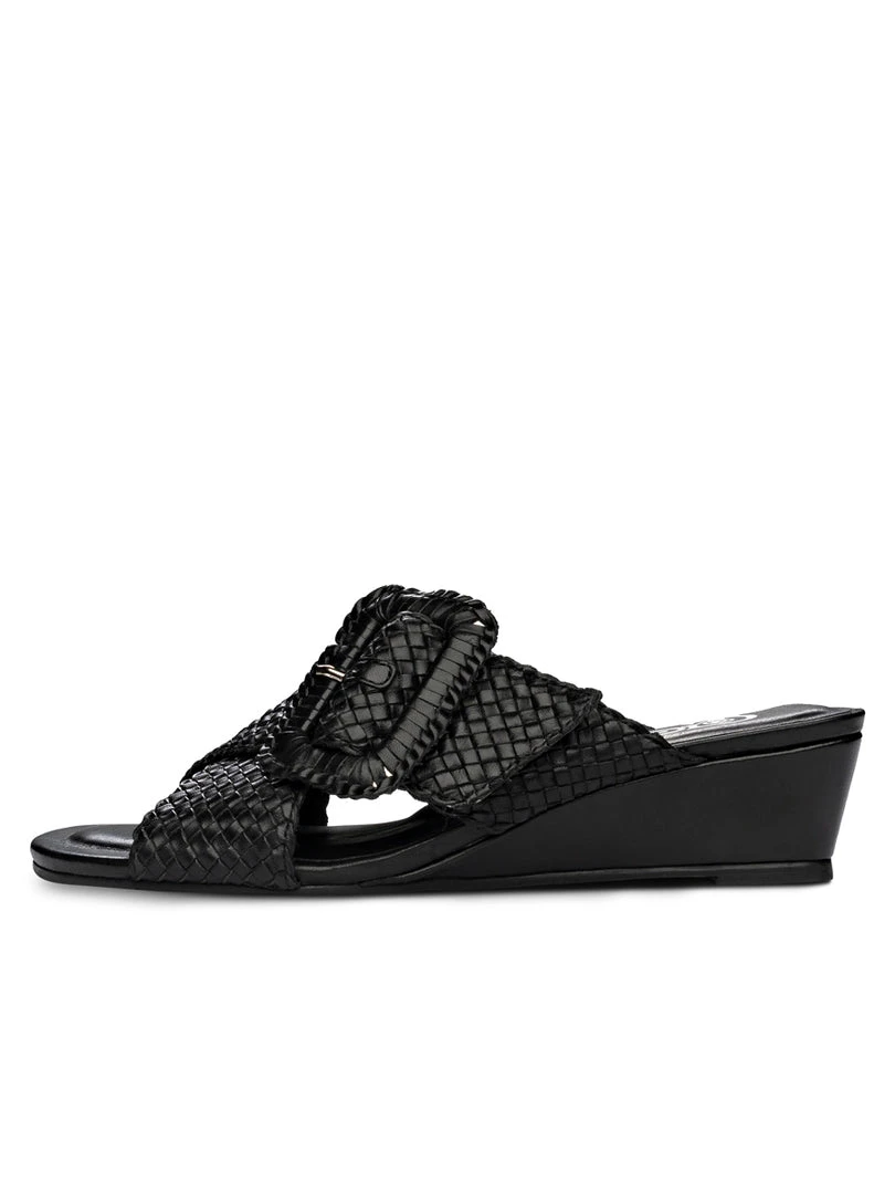 Golo Frangina 4 Golo Frangina