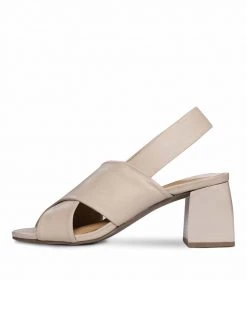 Golo Fever New Arrivals