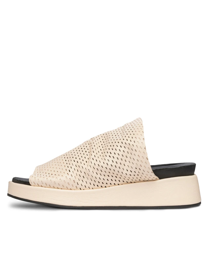 Golo Lyndon 4 Golo Lyndon