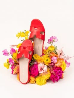 Patricia Green Hallie Flat Sandal New Arrivals 10 Patricia Green Hallie Flat Sandal New Arrivals