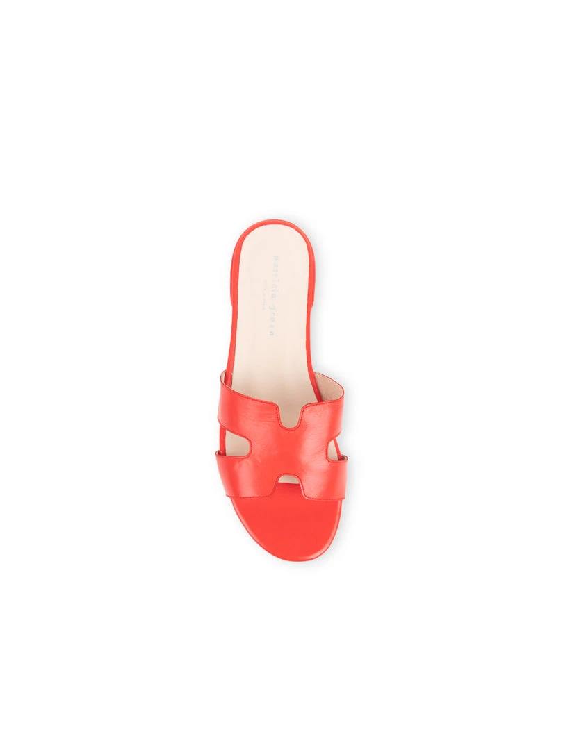 Patricia Green Hallie Flat Sandal New Arrivals 7 Patricia Green Hallie Flat Sandal New Arrivals